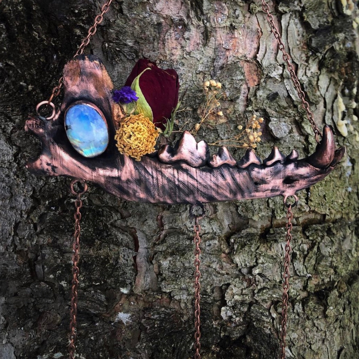 Electroformed coyote mandible wall hanging
